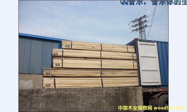 �S��ח����Z���