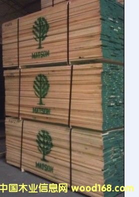 �t��-�~ɭ��Ԕ��(x��)��B