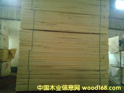 白楊的詳細介紹