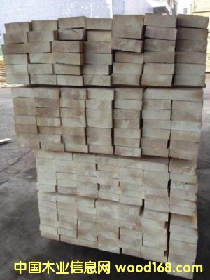 輻射松的詳細介紹