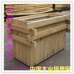 ��������ľ��ɫ�����Ԕ��(x��)��B