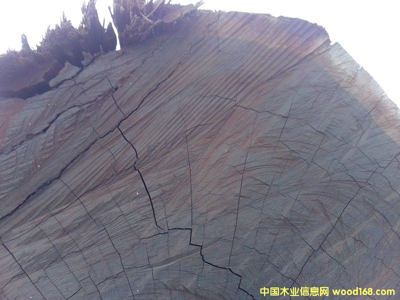 ���_�TŮ����̴��Ԕ����B