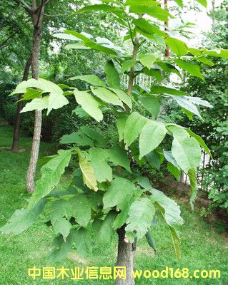 �G���Ԕ��(x��)��B