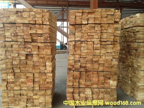 [��] ���zľľ�� �ٹ��� ������ �Ҿ��� ƴ����