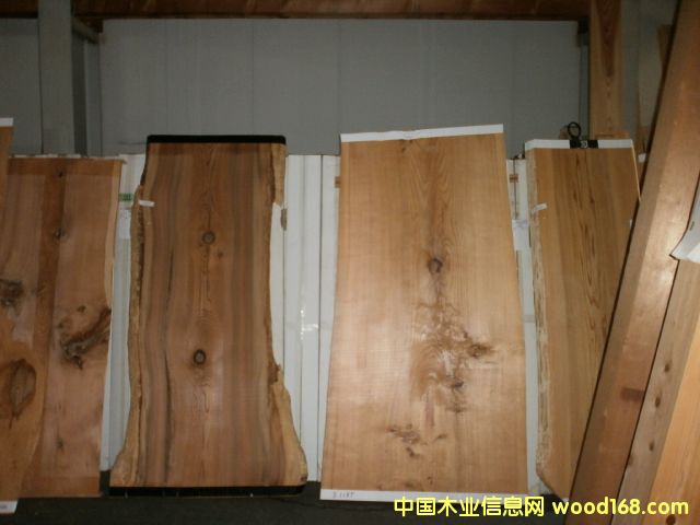 �ձ�ɼľ���ձ��uľ��Ԕ��(x��)��B