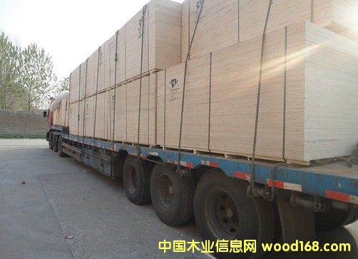 Ư�ח�ľ�z�ϰ��Ԕ����B