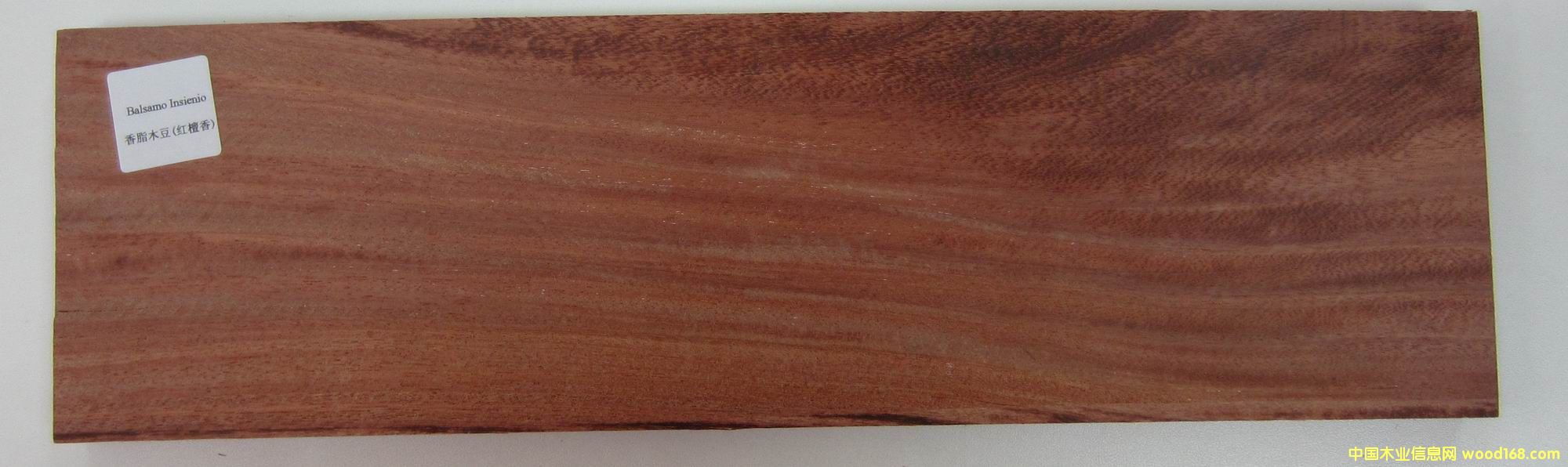 ��֬ľ�����t̴�㣩��Ԕ��(x��)��B