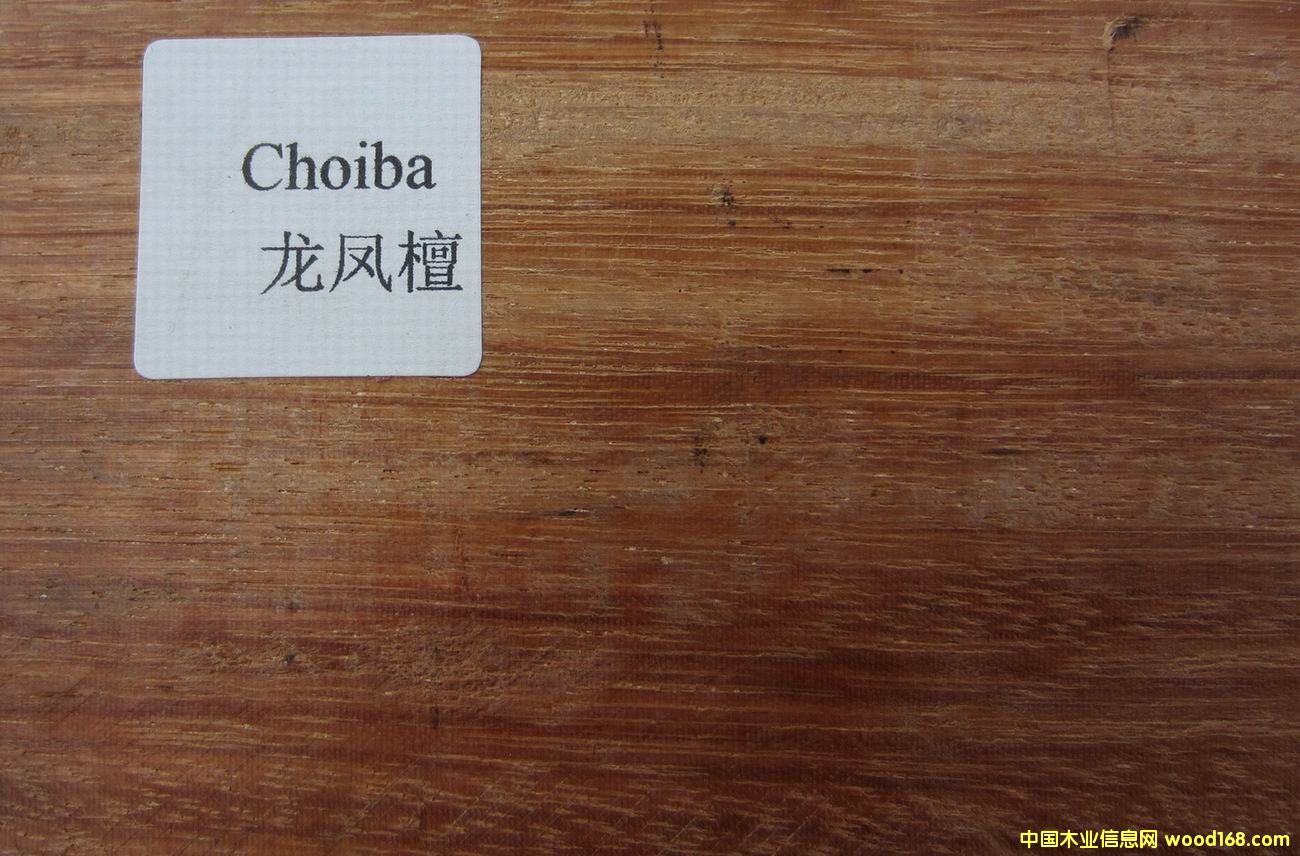 ����ᶹľ�����P̴����Ԕ��(x��)��B