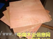 ���b����Ԕ��(x��)��B