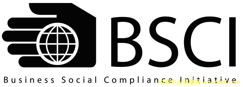 BSCI�S��Ԕ��(x��)��B