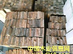 [��] ���_˹����