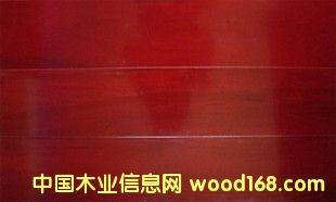 �c(di��n)���鿴��(sh��)ľ�ذ�Ŵ�DƬ