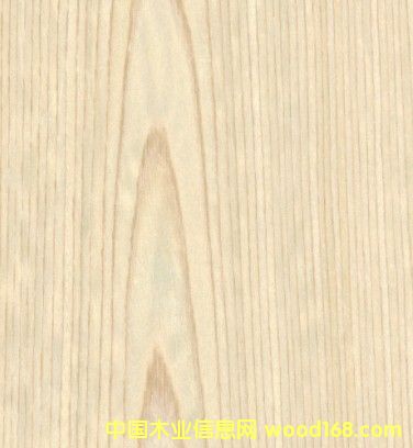 �c���鿴�Ƽ�ľƤ�Ŵ�DƬ