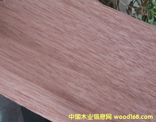 �c(di��n)���鿴�R����������ľ�Ŵ�DƬ