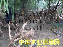 �°� ��Ԕ��(x��)��B