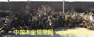 �°�ë�����l(f��)��Ԕ��(x��)��B