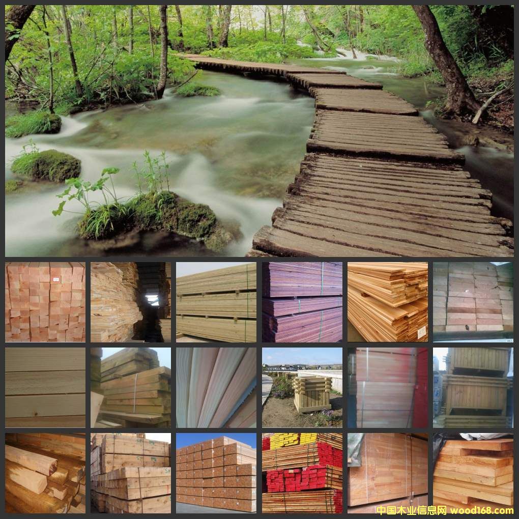 �̈́�ľ/�t�̈́�ľ/�S�̈́�ľ��Ԕ��(x��)��B