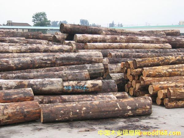 �Fɼ/���ô��Fɼ/�Fɼԭľ��Ԕ��(x��)��B