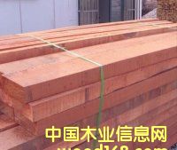 ɽ��ľ��Ԕ��(x��)��B