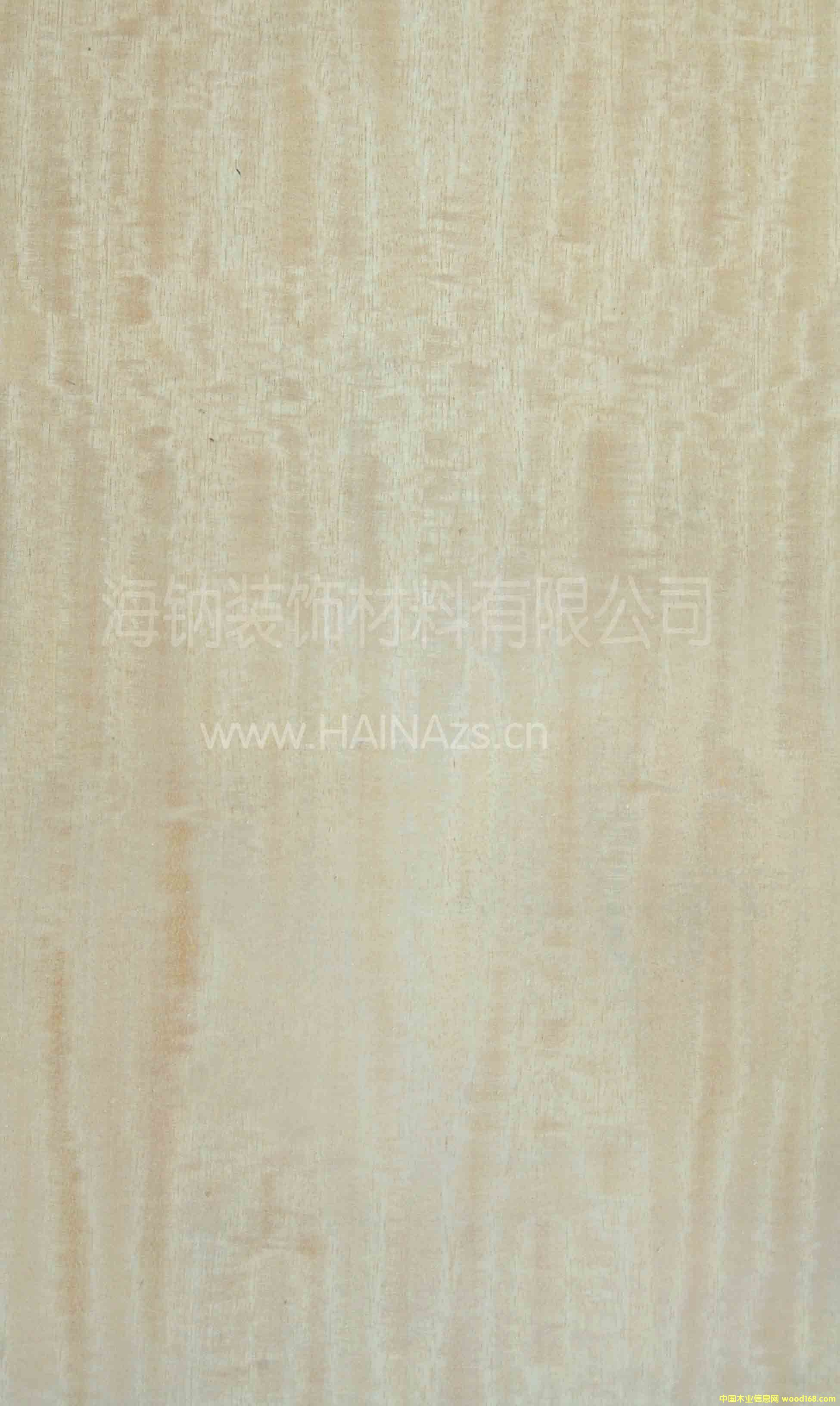 �y�zӰľ��Ԕ��(x��)��B