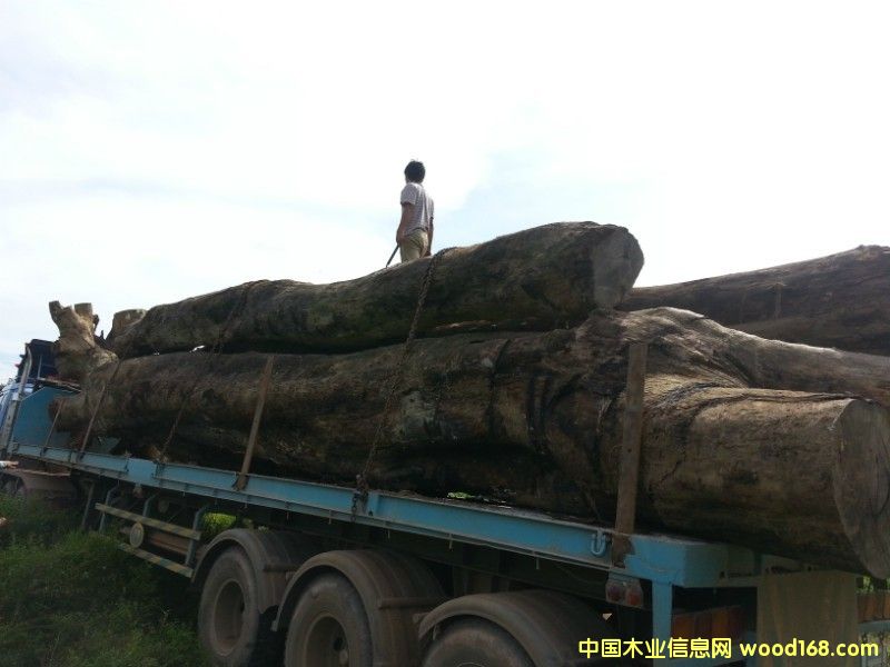 �ϓ뻨���Ԕ��(x��)��B