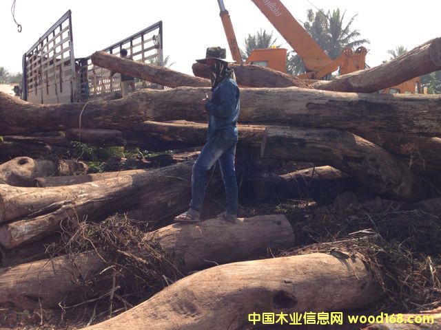 �ϓ뻨���Ԕ��(x��)��B