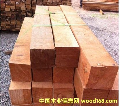 ������ľ��ĵ�Ԕ����B