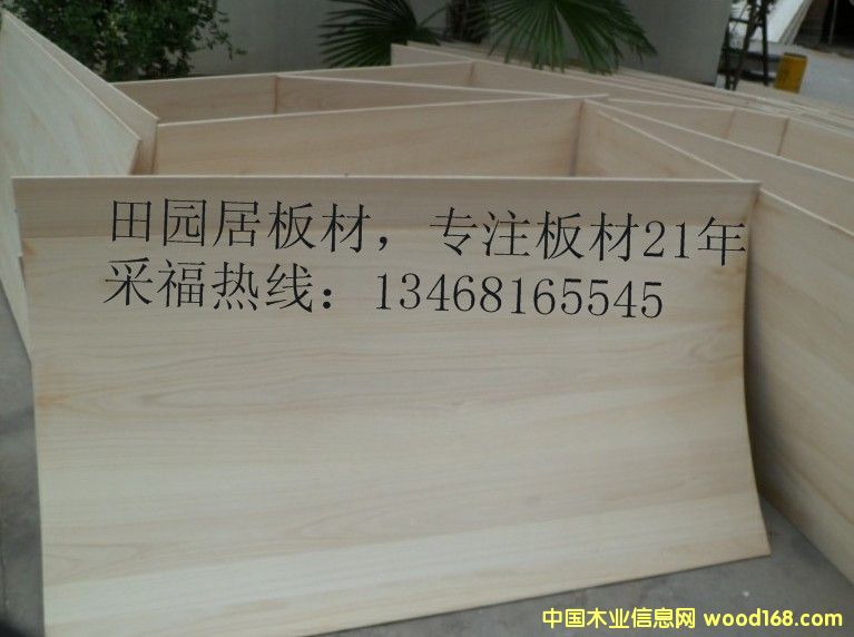 18����ľо�������Ӱ�