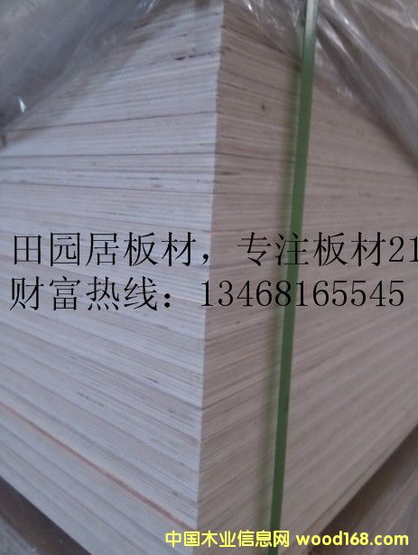 ���B(t��i)�噻��� ������Ԕ��(x��)��B