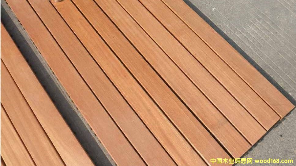 ����ľ��Ԕ��(x��)��B