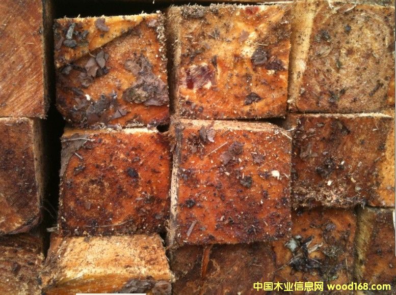 ľ����Ԕ����B