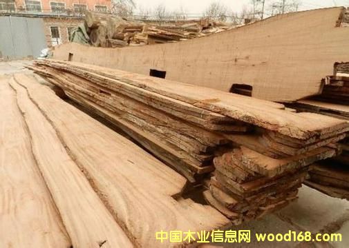 ɽ�|��������ľ��Ԕ��(x��)��B