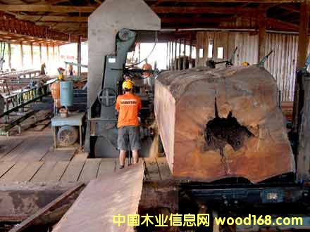 �����F��ľ��Ԕ��(x��)��B