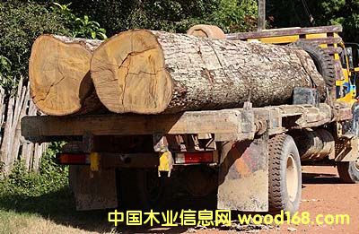 �����t̴��ľ��Ԕ��(x��)��B