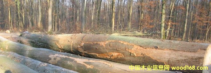 ����(gu��)�ں���ԭľ