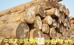 �M(j��n)�� ��z��