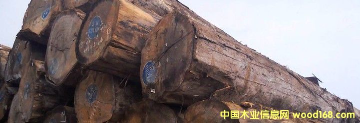 �M�� ����˹ԭľ