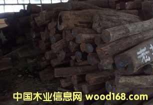 ����(y��ng) �ϓ� ��t��֦(����