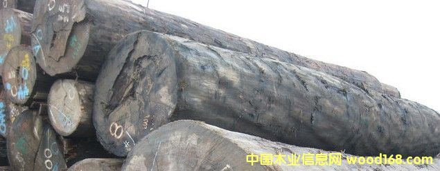 �R��(l��i)��������Ӳľ