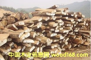 �����¶�ľ���u��ľ)