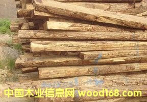 �O���u��ľ