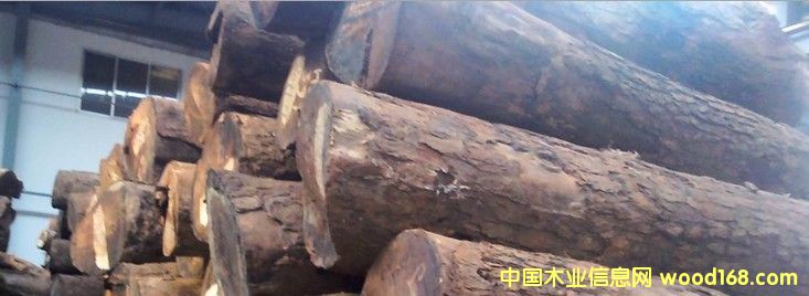 �M(j��n)�� ���޻���ԭľ