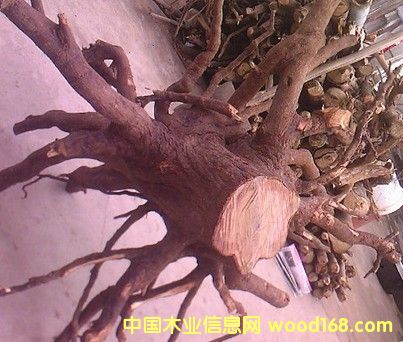 ̴���(sh��)�^