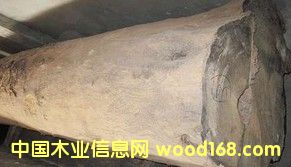 ���黨��ľԭľ���tľԭľ����ڏ�ԭľ