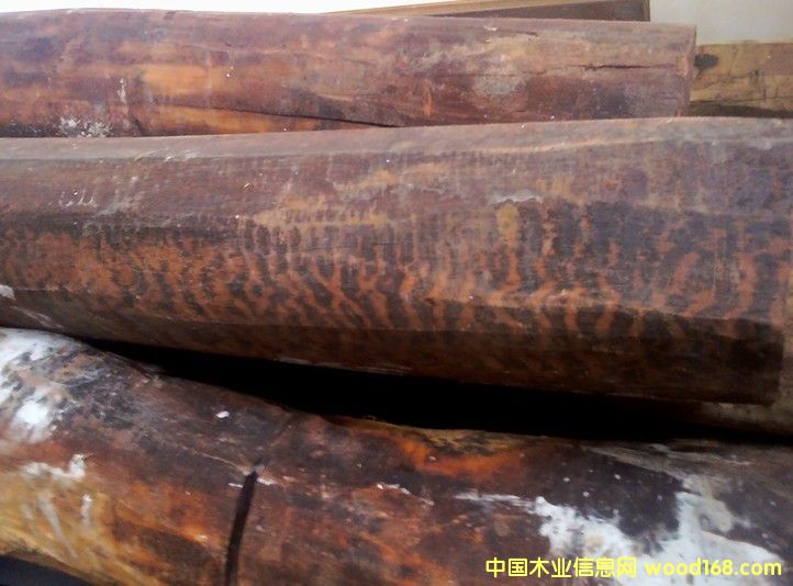 �K�����߼yľԭľ