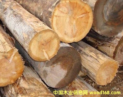 ���ô��Fɼԭľ 