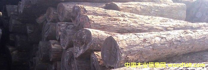 �M(j��n)�� �t�F�� ԭľ