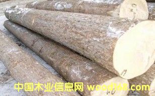 ���_˹�~(y��)�[��ԭľ