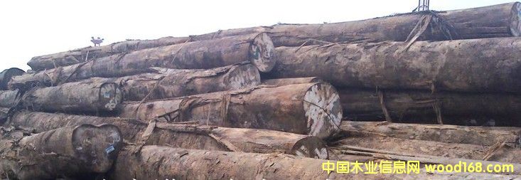 �M(j��n)�� ���O��