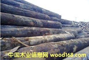 �M(j��n)�� ɽ�� ԭľ